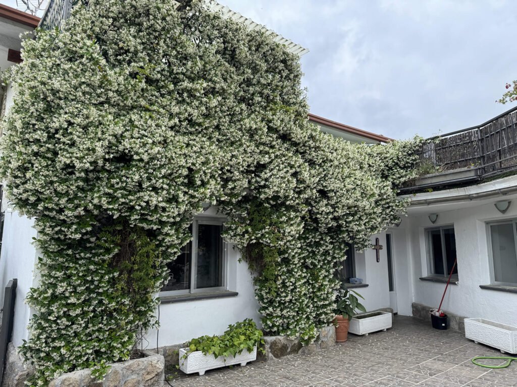 fuente de vida, casa de acogida